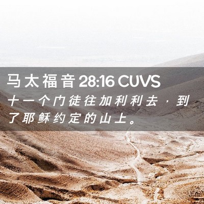 Picture 02 - 马 太 福 音 28:16 CUVS - 十 一 个 门 徒 往 加 利 利 去 ， 到 - Bible Verse Picture