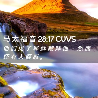 Picture 02 - 马 太 福 音 28:17 CUVS - 他 们 见 了 耶 稣 就 拜 他 ， 然 而 - Bible Verse Picture