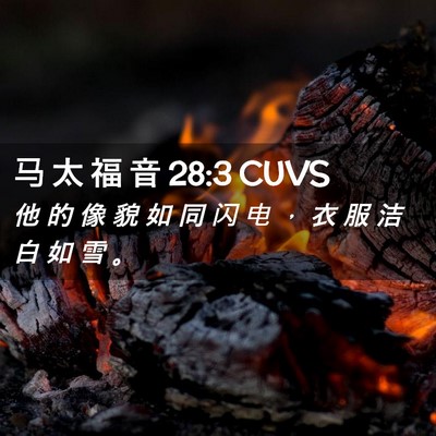 Picture 02 - 马 太 福 音 28:3 CUVS - 他 的 像 貌 如 同 闪 电 ， 衣 服 洁 - Bible Verse Picture