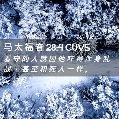 Picture 02 - 马 太 福 音 28:4 CUVS - 看 守 的 人 就 因 他 吓 得 浑 身 乱 - Bible Verse Picture