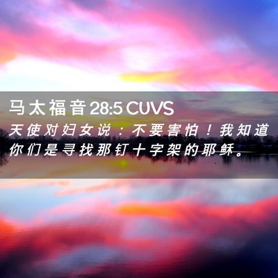 Picture 02 - 马 太 福 音 28:5 CUVS - 天 使 对 妇 女 说 ： 不 要 害 怕 ！ - Bible Verse Picture