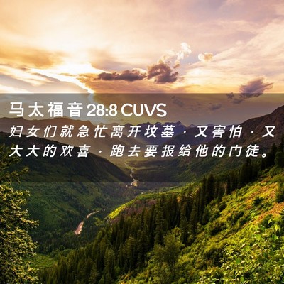 Picture 02 - 马 太 福 音 28:8 CUVS - 妇 女 们 就 急 忙 离 开 坟 墓 ， 又 - Bible Verse Picture