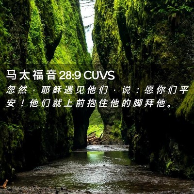 Picture 02 - 马 太 福 音 28:9 CUVS - 忽 然 ， 耶 稣 遇 见 他 们 ， 说 ： - Bible Verse Picture