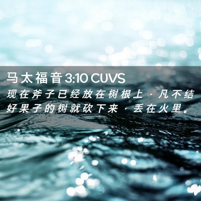 Picture 02 - 马 太 福 音 3:10 CUVS - 现 在 斧 子 已 经 放 在 树 根 上 ， - Bible Verse Picture