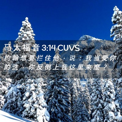 Picture 02 - 马 太 福 音 3:14 CUVS - 约 翰 想 要 拦 住 他 ， 说 ： 我 当 - Bible Verse Picture
