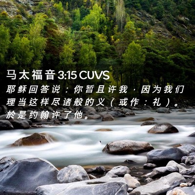 Picture 02 - 马 太 福 音 3:15 CUVS - 耶 稣 回 答 说 ： 你 暂 且 许 我 ， - Bible Verse Picture