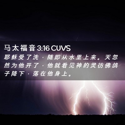 Picture 02 - 马 太 福 音 3:16 CUVS - 耶 稣 受 了 洗 ， 随 即 从 水 里 上 - Bible Verse Picture