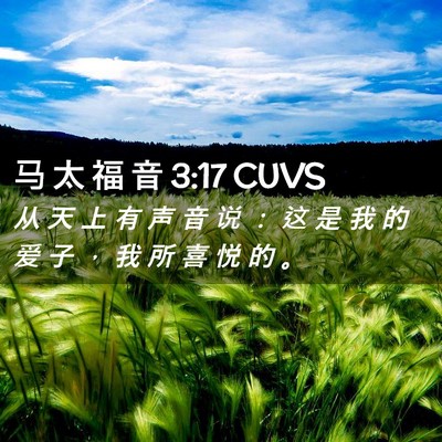 Picture 02 - 马 太 福 音 3:17 CUVS - 从 天 上 有 声 音 说 ： 这 是 我 的 - Bible Verse Picture