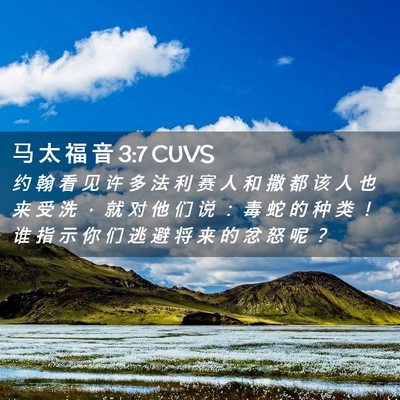 Picture 02 - 马 太 福 音 3:7 CUVS - 约 翰 看 见 许 多 法 利 赛 人 和 撒 - Bible Verse Picture