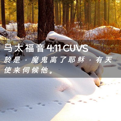 Picture 02 - 马 太 福 音 4:11 CUVS - 於 是 ， 魔 鬼 离 了 耶 稣 ， 有 天 - Bible Verse Picture
