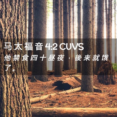 Picture 02 - 马 太 福 音 4:2 CUVS - 他 禁 食 四 十 昼 夜 ， 後 来 就 饿 - Bible Verse Picture