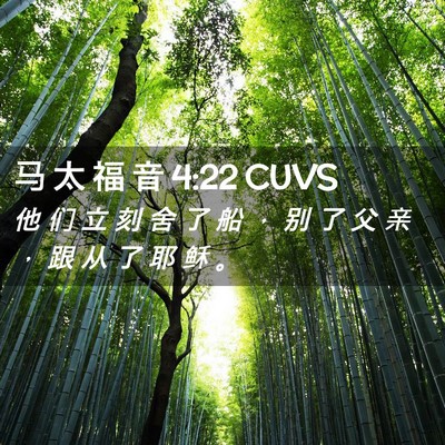 Picture 02 - 马 太 福 音 4:22 CUVS - 他 们 立 刻 舍 了 船 ， 别 了 父 亲 - Bible Verse Picture