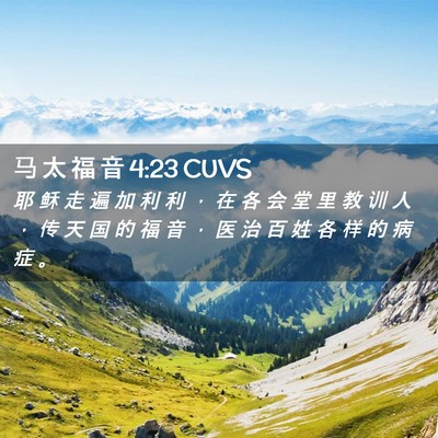 Picture 02 - 马 太 福 音 4:23 CUVS - 耶 稣 走 遍 加 利 利 ， 在 各 会 堂 - Bible Verse Picture