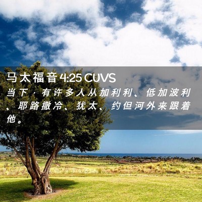Picture 02 - 马 太 福 音 4:25 CUVS - 当 下 ， 有 许 多 人 从 加 利 利 、 - Bible Verse Picture