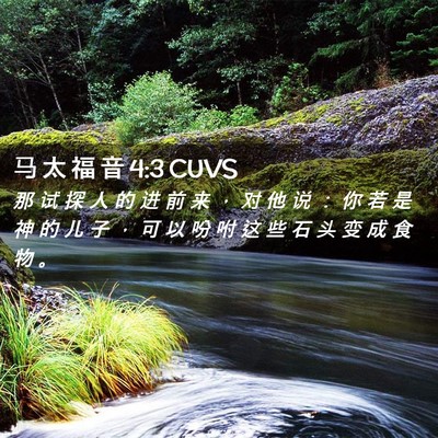 Picture 02 - 马 太 福 音 4:3 CUVS - 那 试 探 人 的 进 前 来 ， 对 他 说 - Bible Verse Picture