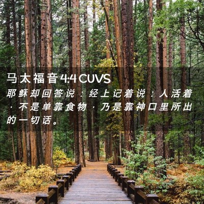 Picture 02 - 马 太 福 音 4:4 CUVS - 耶 稣 却 回 答 说 ： 经 上 记 着 说 - Bible Verse Picture