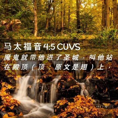 Picture 02 - 马 太 福 音 4:5 CUVS - 魔 鬼 就 带 他 进 了 圣 城 ， 叫 他 - Bible Verse Picture
