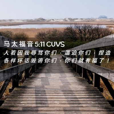 Picture 02 - 马 太 福 音 5:11 CUVS - 人 若 因 我 辱 骂 你 们 ， 逼 迫 你 - Bible Verse Picture