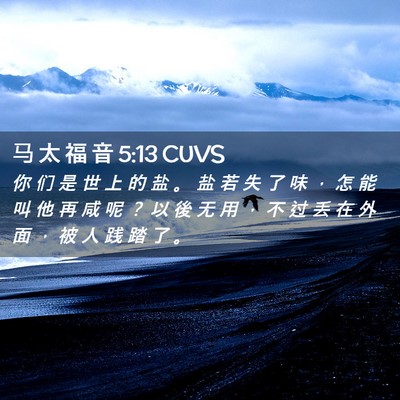 Picture 02 - 马 太 福 音 5:13 CUVS - 你 们 是 世 上 的 盐 。 盐 若 失 了 - Bible Verse Picture