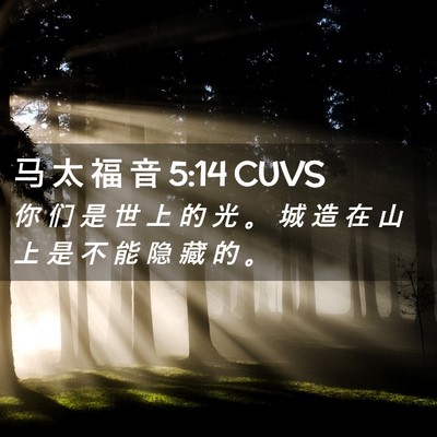 Picture 02 - 马 太 福 音 5:14 CUVS - 你 们 是 世 上 的 光 。 城 造 在 山 - Bible Verse Picture