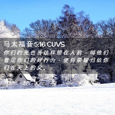 Picture 02 - 马 太 福 音 5:16 CUVS - 你 们 的 光 也 当 这 样 照 在 人 前 - Bible Verse Picture