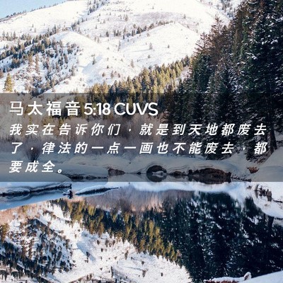 Picture 02 - 马 太 福 音 5:18 CUVS - 我 实 在 告 诉 你 们 ， 就 是 到 天 - Bible Verse Picture