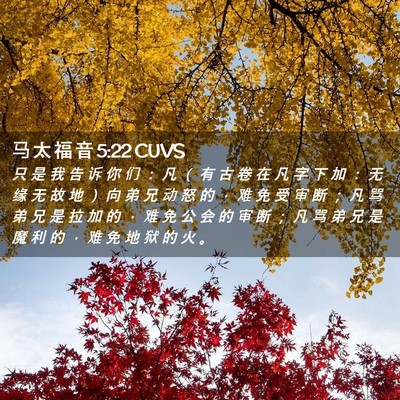 Picture 02 - 马 太 福 音 5:22 CUVS - 只 是 我 告 诉 你 们 ： 凡 （ 有 古 - Bible Verse Picture
