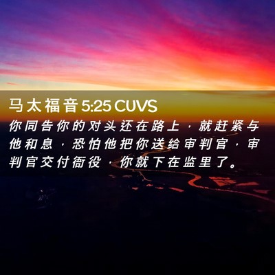 Picture 02 - 马 太 福 音 5:25 CUVS - 你 同 告 你 的 对 头 还 在 路 上 ， - Bible Verse Picture