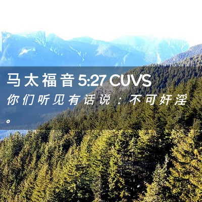 Picture 02 - 马 太 福 音 5:27 CUVS - 你 们 听 见 有 话 说 ： 不 可 奸 淫 - Bible Verse Picture