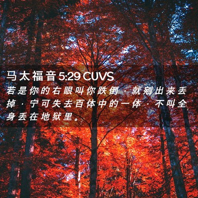 Picture 02 - 马 太 福 音 5:29 CUVS - 若 是 你 的 右 眼 叫 你 跌 倒 ， 就 - Bible Verse Picture