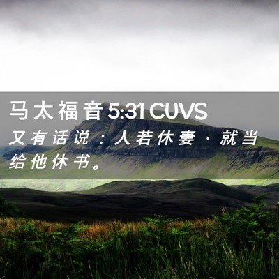 Picture 02 - 马 太 福 音 5:31 CUVS - 又 有 话 说 ： 人 若 休 妻 ， 就 当 - Bible Verse Picture