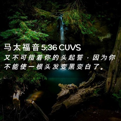 Picture 02 - 马 太 福 音 5:36 CUVS - 又 不 可 指 着 你 的 头 起 誓 ， 因 - Bible Verse Picture