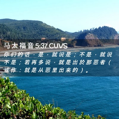 Picture 02 - 马 太 福 音 5:37 CUVS - 你 们 的 话 ， 是 ， 就 说 是 ； 不 - Bible Verse Picture