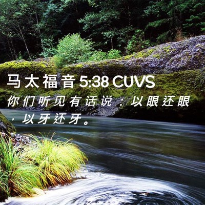 Picture 02 - 马 太 福 音 5:38 CUVS - 你 们 听 见 有 话 说 ： 以 眼 还 眼 - Bible Verse Picture