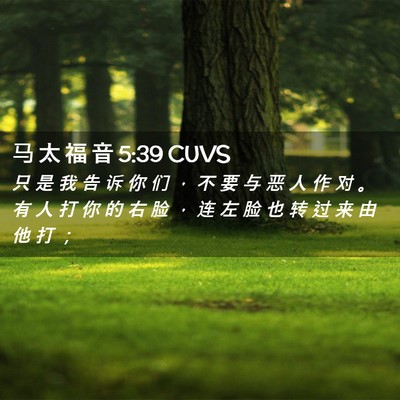 Picture 02 - 马 太 福 音 5:39 CUVS - 只 是 我 告 诉 你 们 ， 不 要 与 恶 - Bible Verse Picture