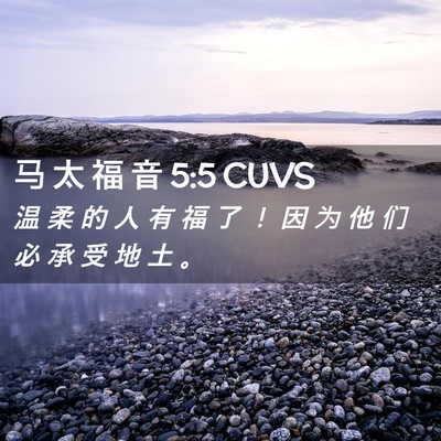 Picture 02 - 马 太 福 音 5:5 CUVS - 温 柔 的 人 有 福 了 ！ 因 为 他 们 - Bible Verse Picture