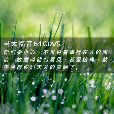 Picture 02 - 马 太 福 音 6:1 CUVS - 你 们 要 小 心 ， 不 可 将 善 事 行 - Bible Verse Picture