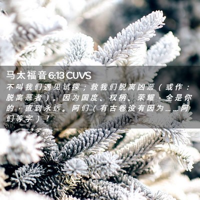 Picture 02 - 马 太 福 音 6:13 CUVS - 不 叫 我 们 遇 见 试 探 ； 救 我 们 - Bible Verse Picture