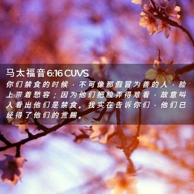 Picture 02 - 马 太 福 音 6:16 CUVS - 你 们 禁 食 的 时 候 ， 不 可 像 那 - Bible Verse Picture