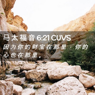 Picture 02 - 马 太 福 音 6:21 CUVS - 因 为 你 的 财 宝 在 那 里 ， 你 的 - Bible Verse Picture