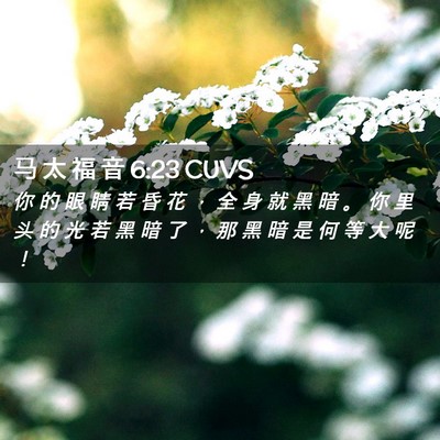 Picture 02 - 马 太 福 音 6:23 CUVS - 你 的 眼 睛 若 昏 花 ， 全 身 就 黑 - Bible Verse Picture