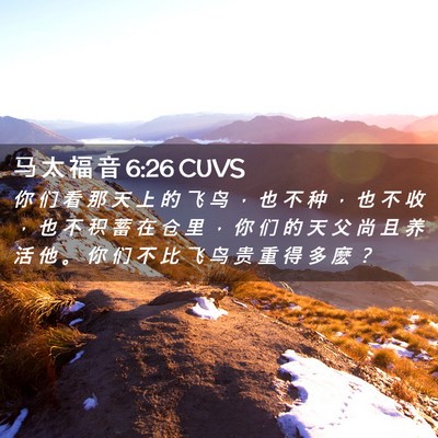 Picture 02 - 马 太 福 音 6:26 CUVS - 你 们 看 那 天 上 的 飞 鸟 ， 也 不 - Bible Verse Picture