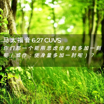 Picture 02 - 马 太 福 音 6:27 CUVS - 你 们 那 一 个 能 用 思 虑 使 寿 数 - Bible Verse Picture