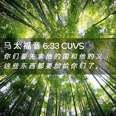 Picture 02 - 马 太 福 音 6:33 CUVS - 你 们 要 先 求 他 的 国 和 他 的 义 - Bible Verse Picture