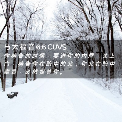 Picture 02 - 马 太 福 音 6:6 CUVS - 你 祷 告 的 时 候 ， 要 进 你 的 内 - Bible Verse Picture