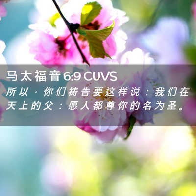 Picture 02 - 马 太 福 音 6:9 CUVS - 所 以 ， 你 们 祷 告 要 这 样 说 ： - Bible Verse Picture