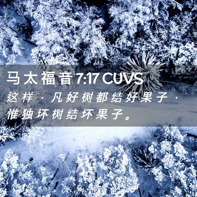 Picture 02 - 马 太 福 音 7:17 CUVS - 这 样 ， 凡 好 树 都 结 好 果 子 ， - Bible Verse Picture