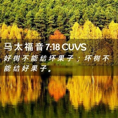 Picture 02 - 马 太 福 音 7:18 CUVS - 好 树 不 能 结 坏 果 子 ； 坏 树 不 - Bible Verse Picture