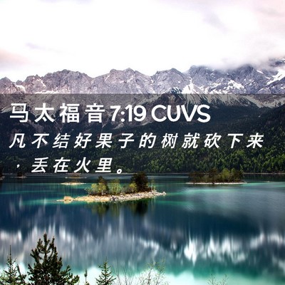 Picture 02 - 马 太 福 音 7:19 CUVS - 凡 不 结 好 果 子 的 树 就 砍 下 来 - Bible Verse Picture