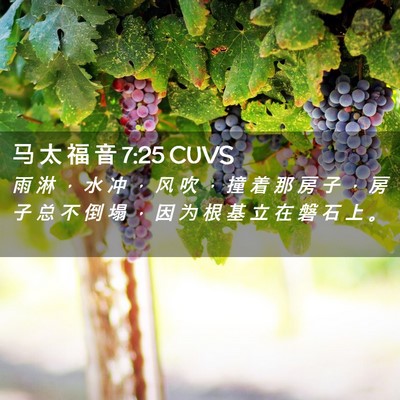 Picture 02 - 马 太 福 音 7:25 CUVS - 雨 淋 ， 水 冲 ， 风 吹 ， 撞 着 那 - Bible Verse Picture